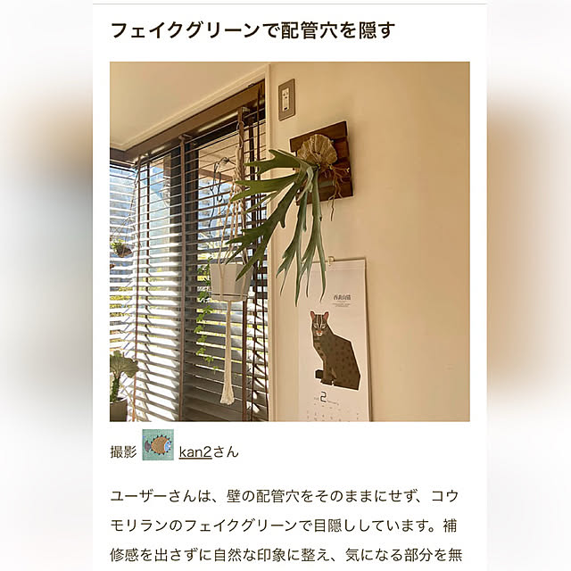 kan2さんの実例写真