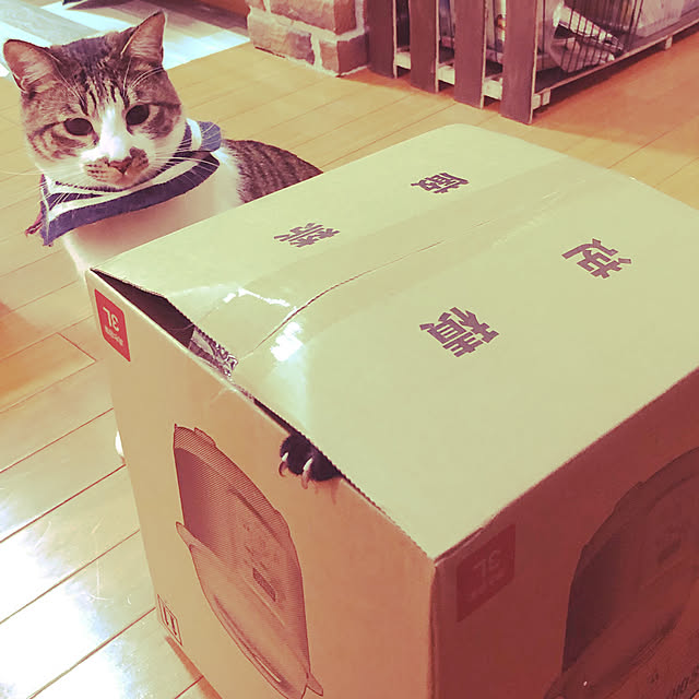 jijiさんの実例写真