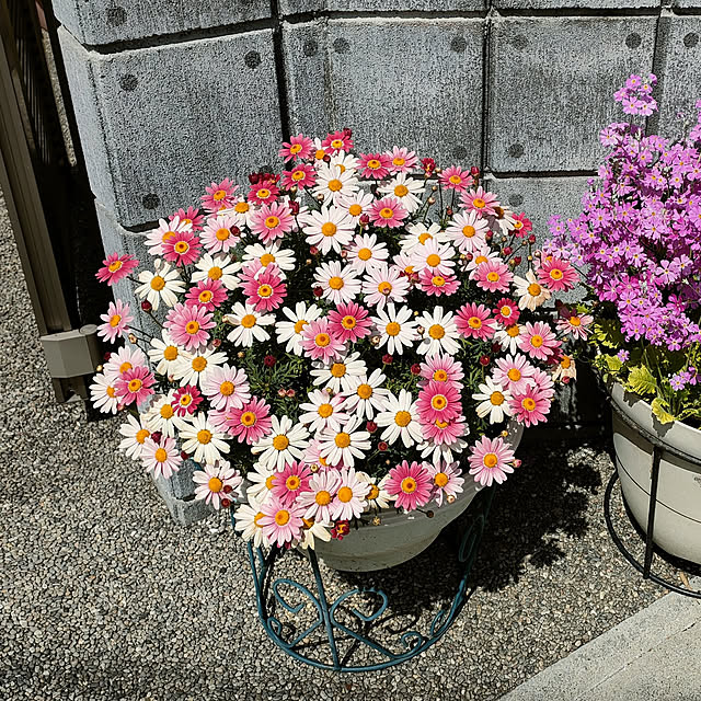 VERANDARJUNさんの実例写真