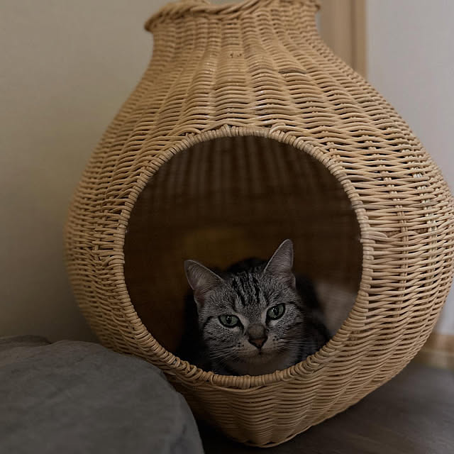 Yuki_with_a_tailさんの部屋