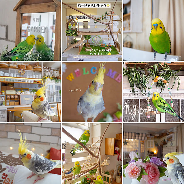r_6cafeさんの実例写真