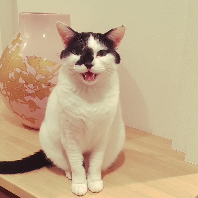 mileyさんの実例写真