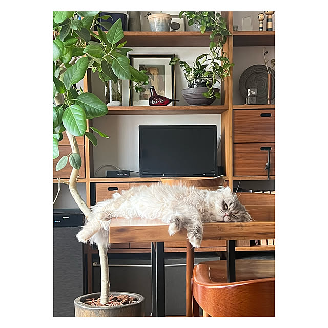 gfさんの実例写真