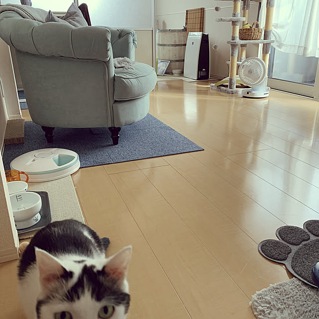 Yukikoさんの実例写真