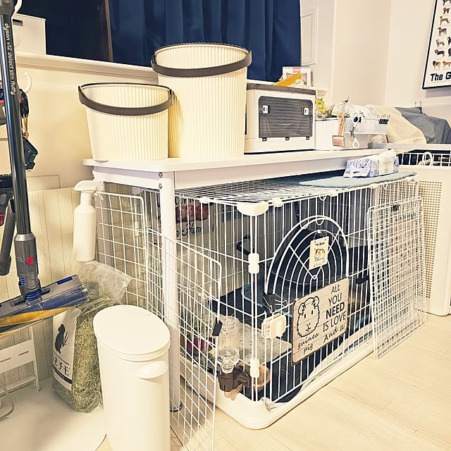 kiyoikeさんの実例写真