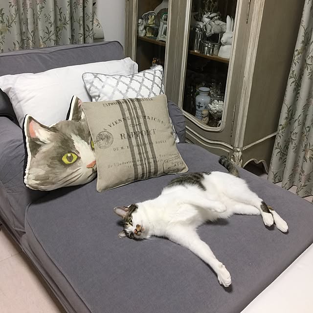 yuchiさんの実例写真