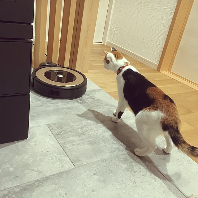 momochiyoさんの実例写真