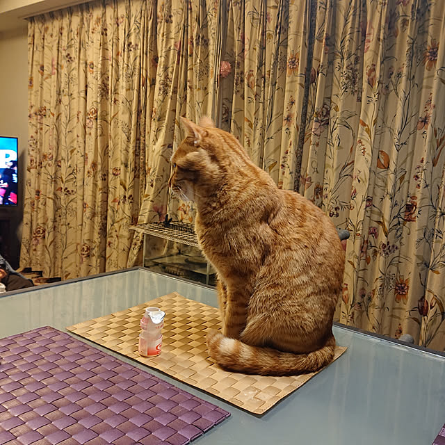 okyosan101さんの実例写真