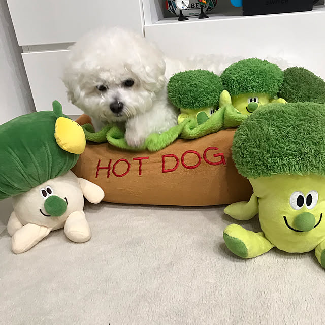 kotomiさんの実例写真