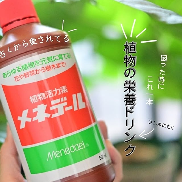 CYNOSさんの実例写真