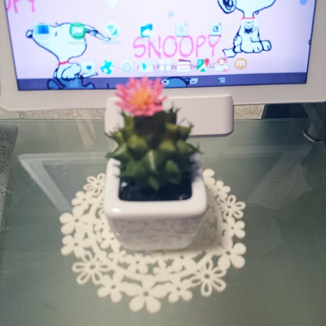 fu-ka24さんの実例写真