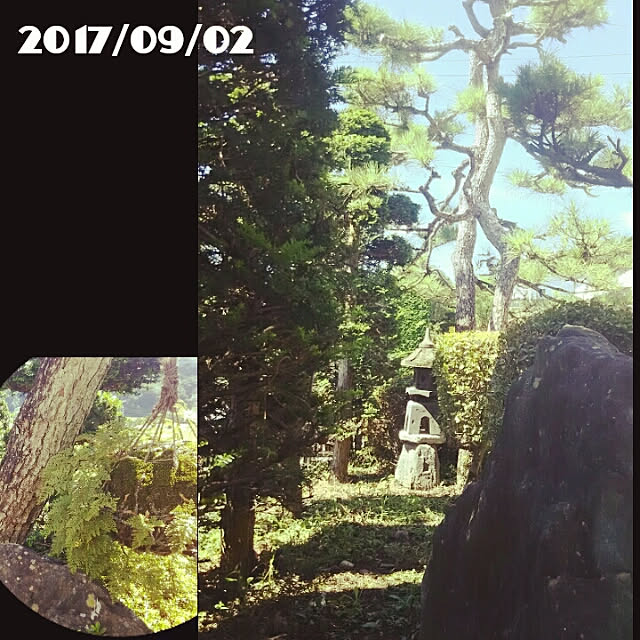 bousuke.215112さんの実例写真