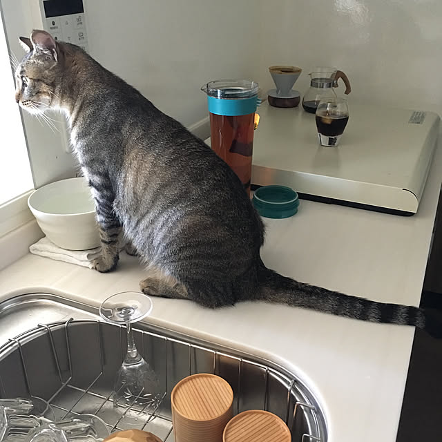 mikomaruさんの実例写真