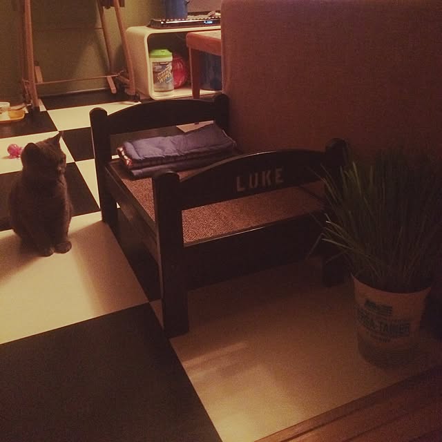 Shojiさんの実例写真
