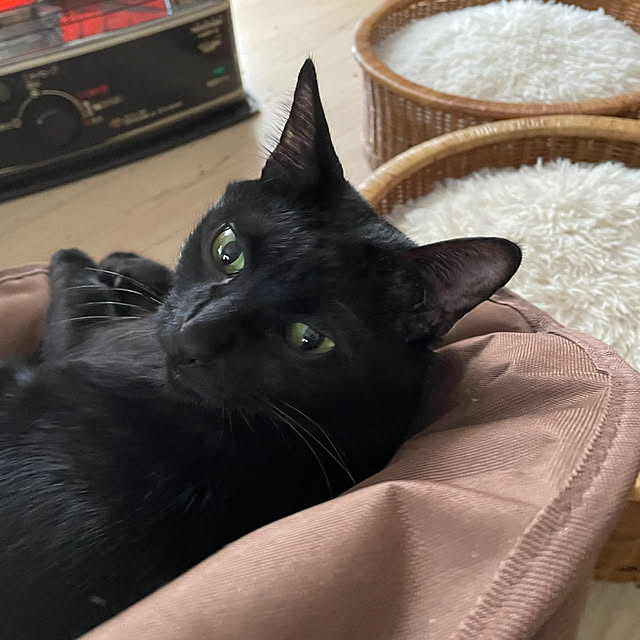 coolcats0528さんの部屋