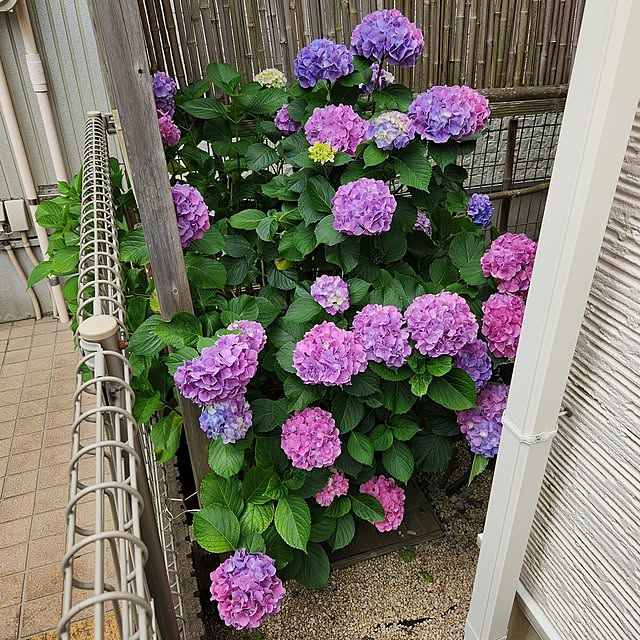 yasu10さんの部屋