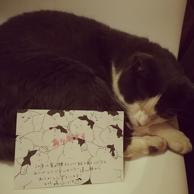 Maki-nekomamireさんの実例写真