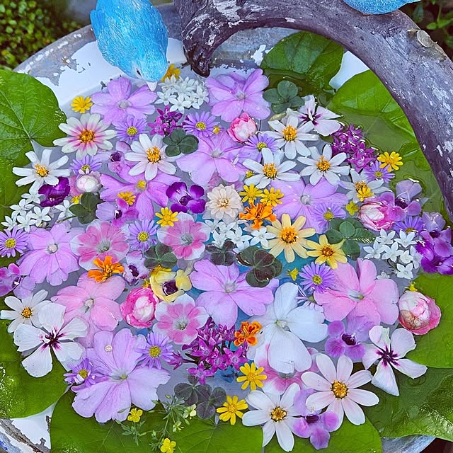 mocomocoさんの部屋