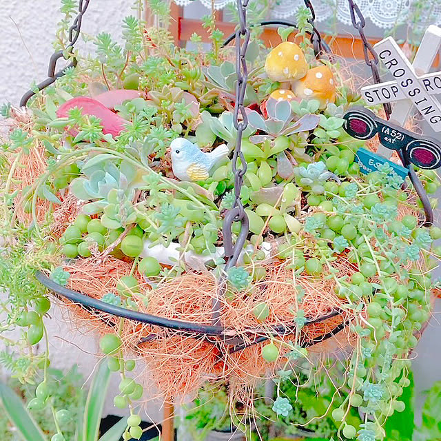 Hanakaさんの実例写真