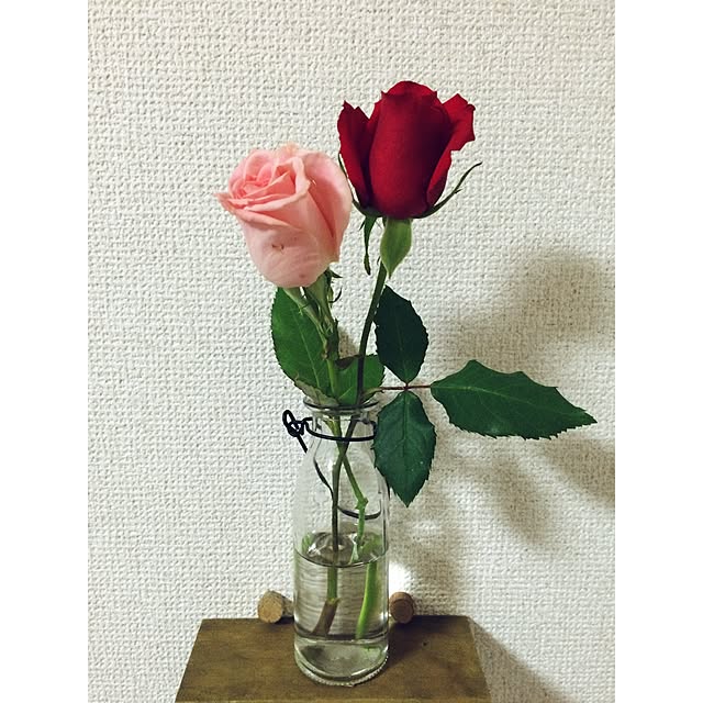 machanさんの実例写真
