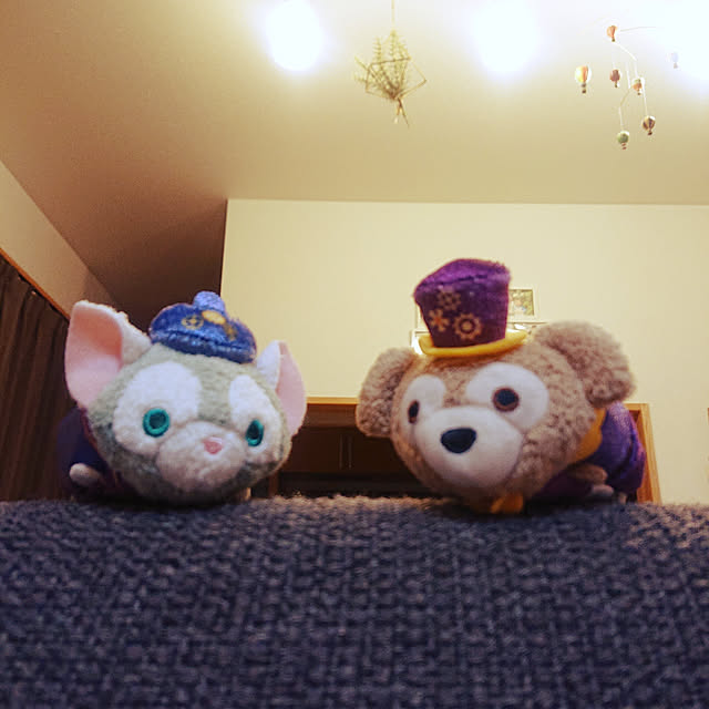 香港ディズニー ダッフィーフレンズ TSUM TSUM ツムツム
