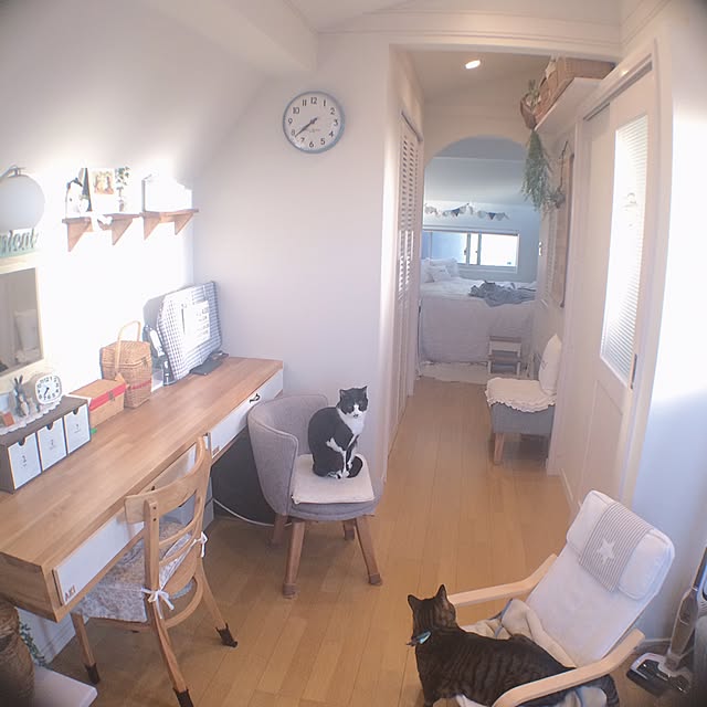 lovecatさんの実例写真