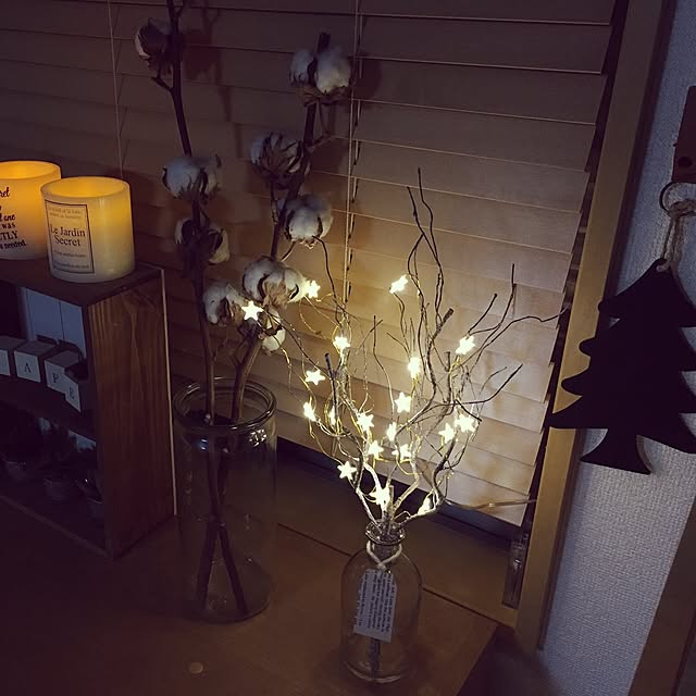 santaさんの実例写真