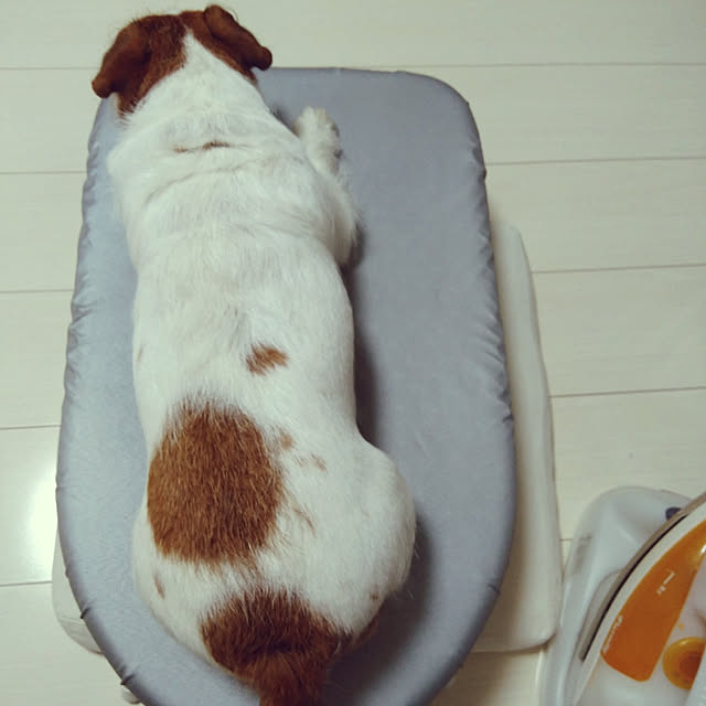 mintさんの実例写真