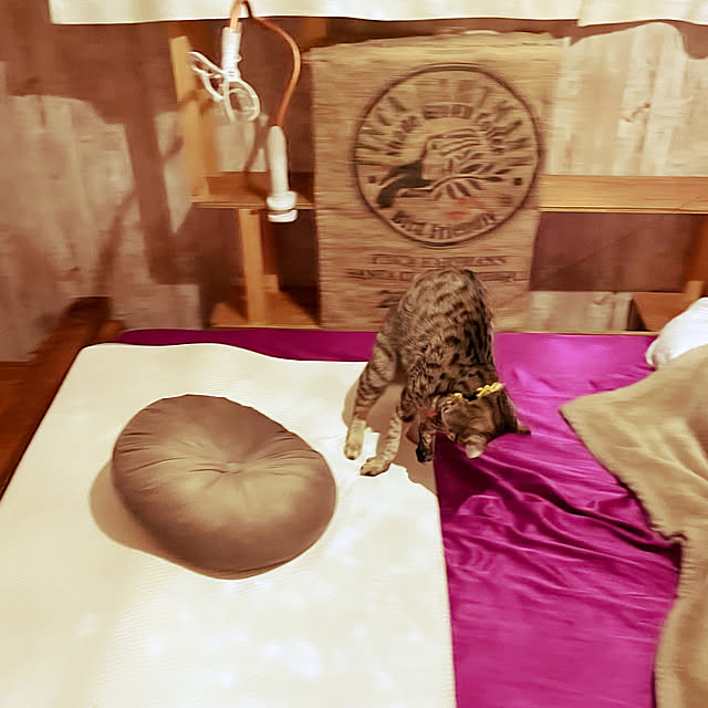 Mさんの実例写真