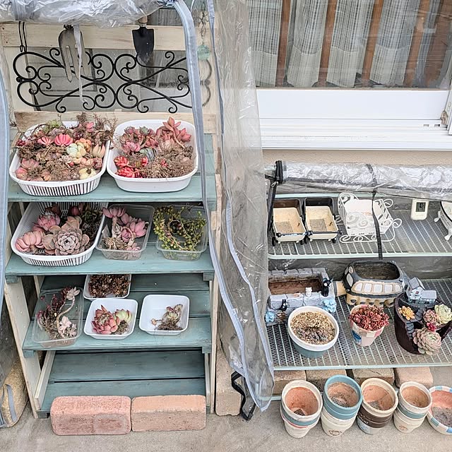 purpureさんの実例写真