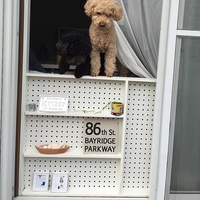 Yumiさんの実例写真