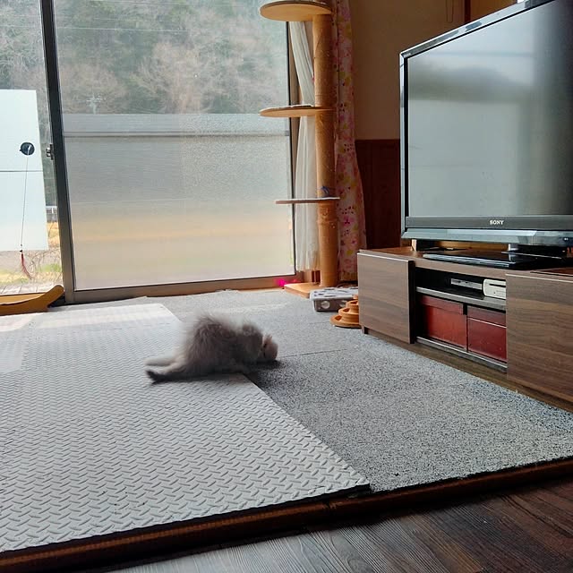 makaronさんの実例写真