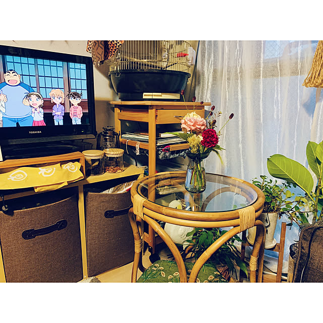 parrotさんの実例写真