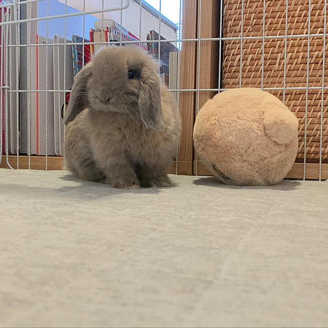 nanasoさんの部屋