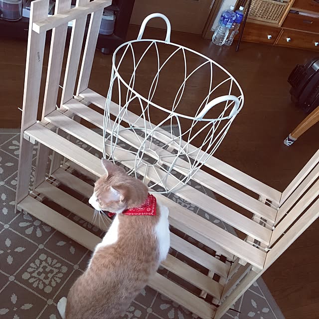 Kohanisutoさんの実例写真