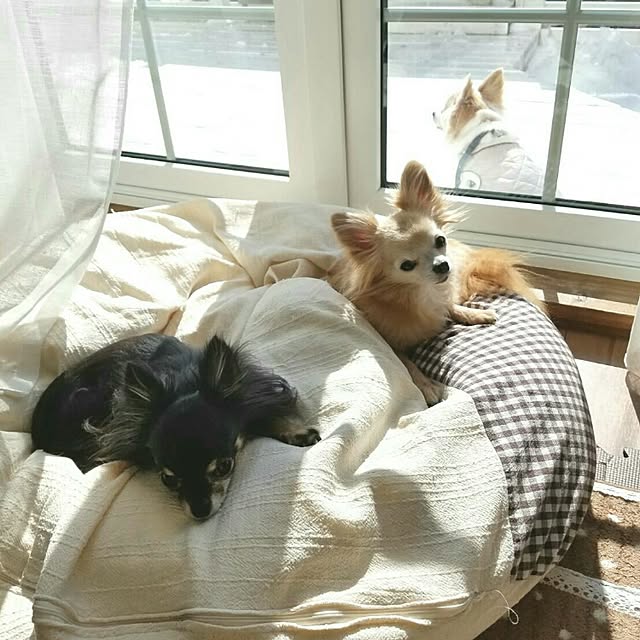 teruさんの実例写真