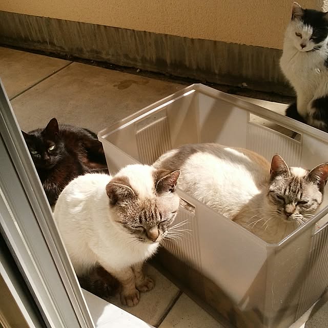 tonyさんの実例写真