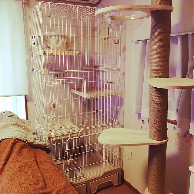 mocomotaさんの実例写真