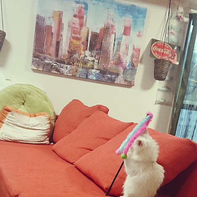 hakutomoroさんの実例写真