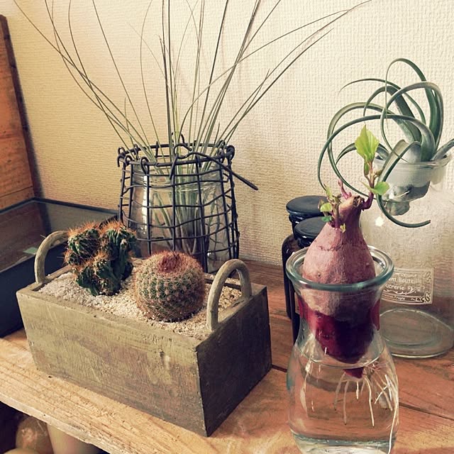 MMさんの実例写真