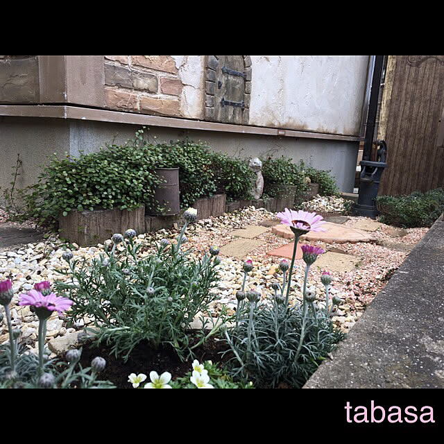 tabasaさんの実例写真