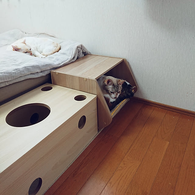 nachiさんの実例写真