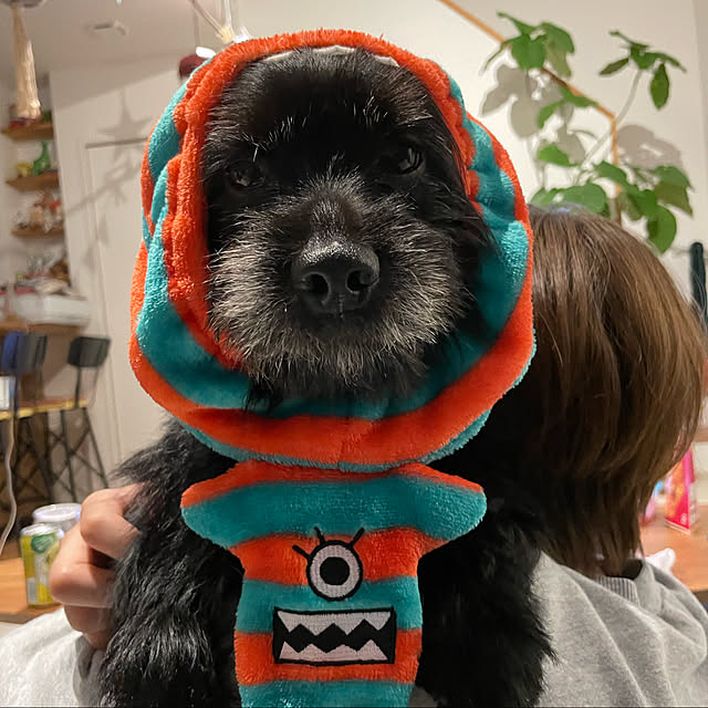 marinkoさんの実例写真