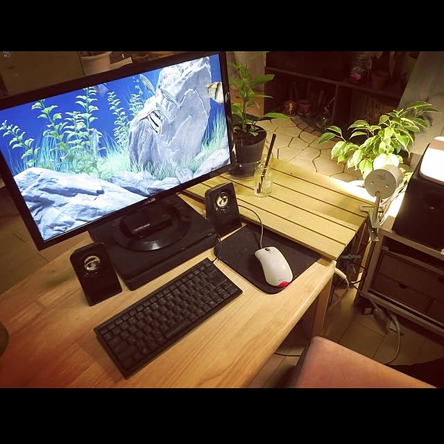 観葉植物/机のインテリア実例 - 2021-01-31 20:38:37