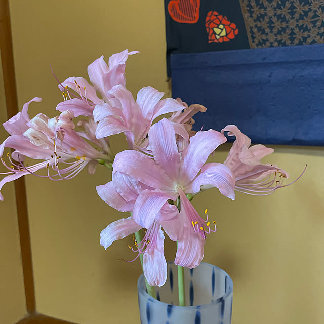 Fuku222さんの部屋