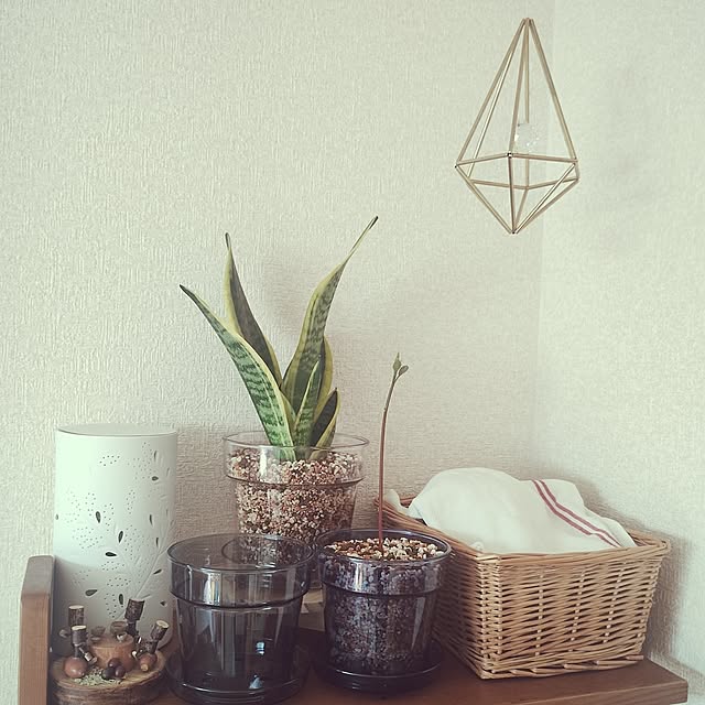 kana_ciiさんの実例写真