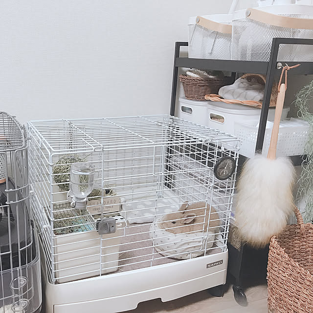 maaさんの実例写真