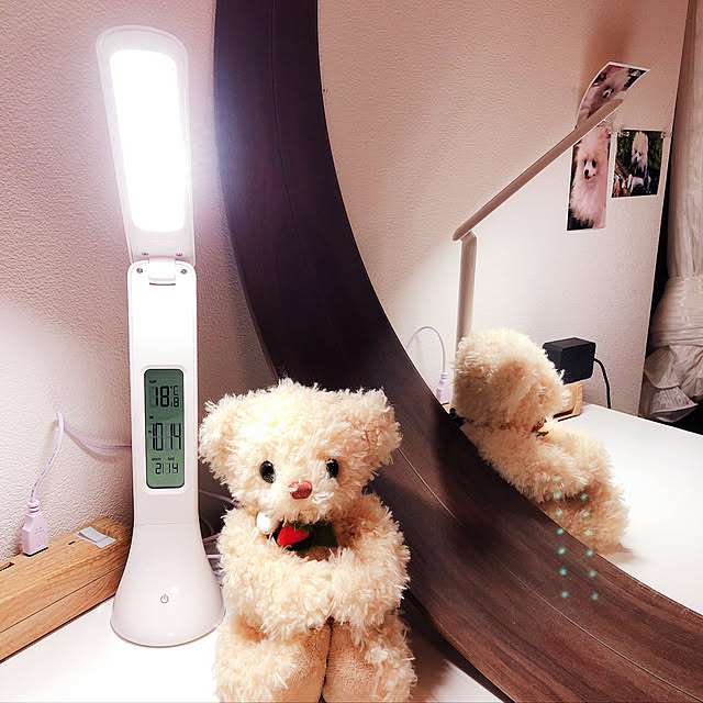 dogslifeさんの実例写真