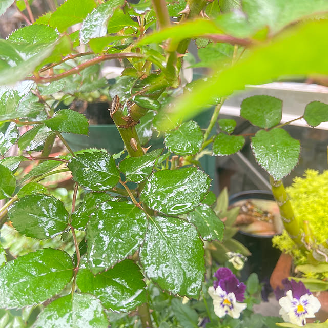 na-chanさんの部屋