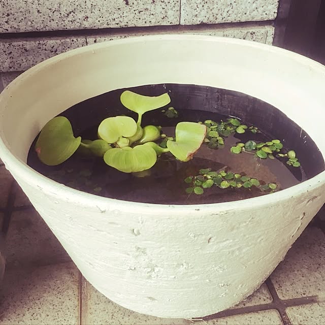 fer.さんの実例写真
